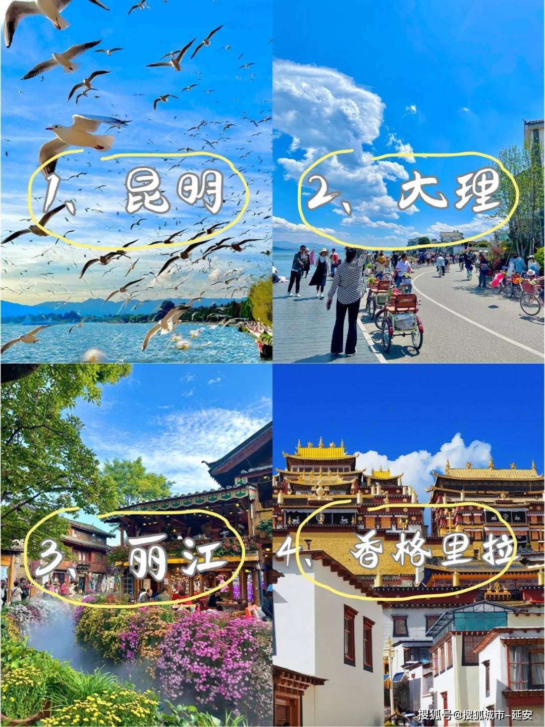 微信推荐昆明优秀旅游定制师号码开元棋牌网站云南最佳私家导游(图4)