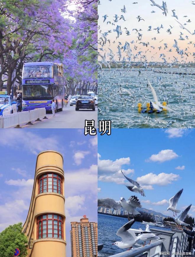 定制导游推荐云南不进购物店报团通道开元棋牌网站云南旅游攻略大全私人(图3)