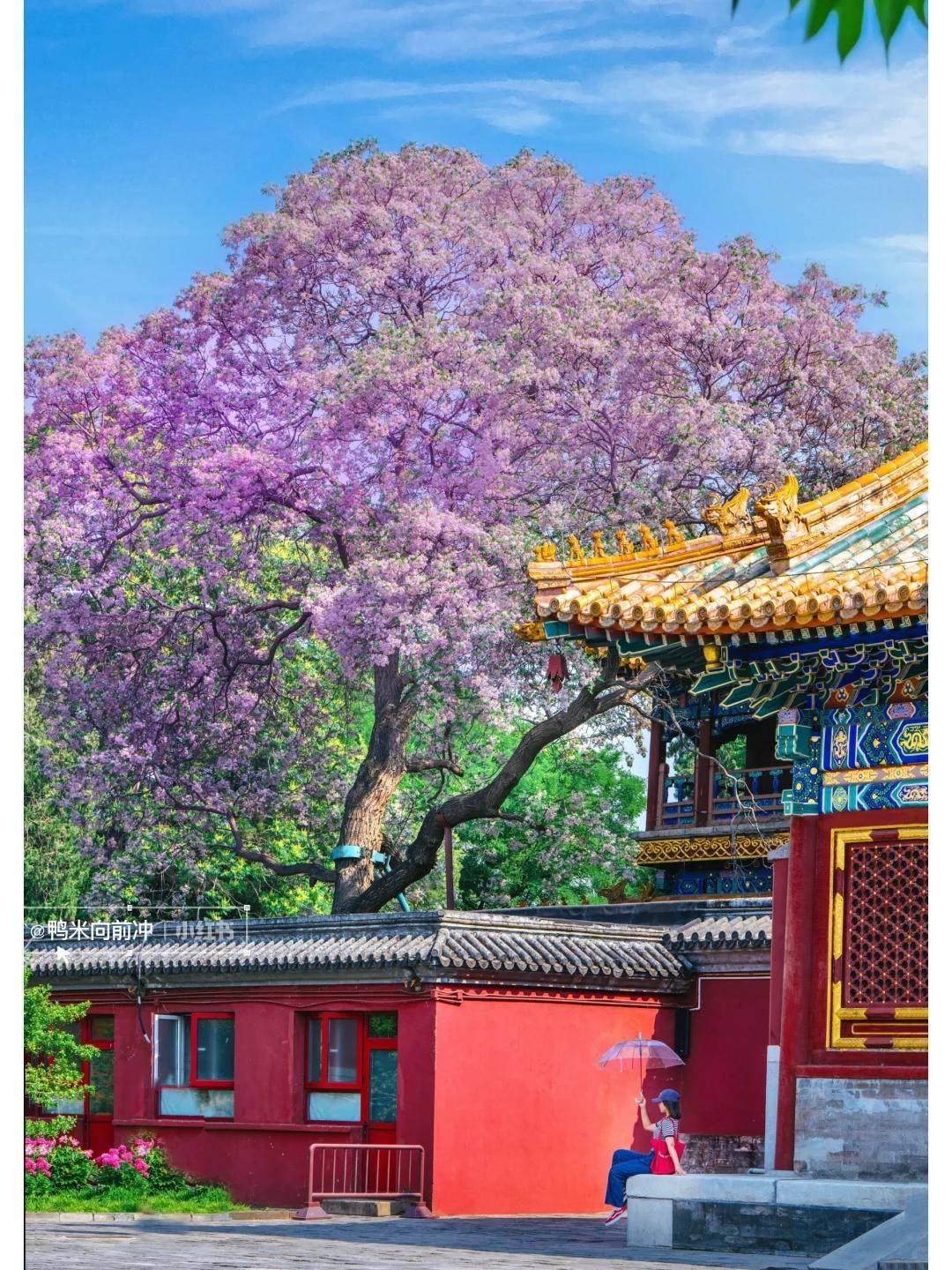 P10大揭秘让咱不花冤枉钱旅行一路开挂ky开元棋牌别再乱选！北京旅行社TO(图3)